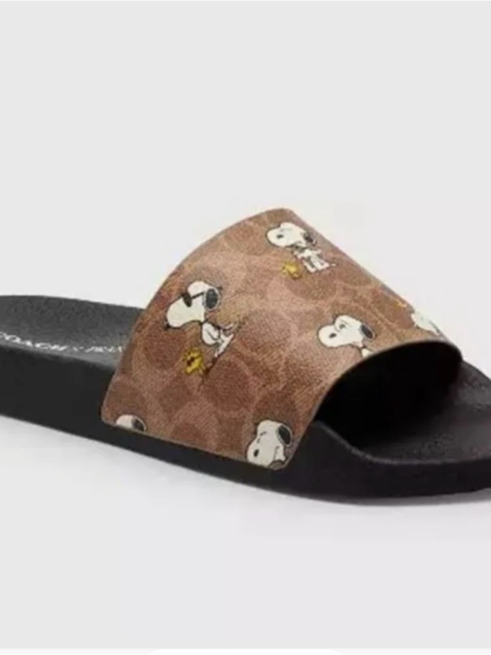 Coach Brown Logo Snoopy Print Slide Sandals - Picture 2 of 8